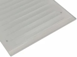 Säle 239